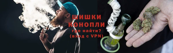 молекула духа Белоозёрский