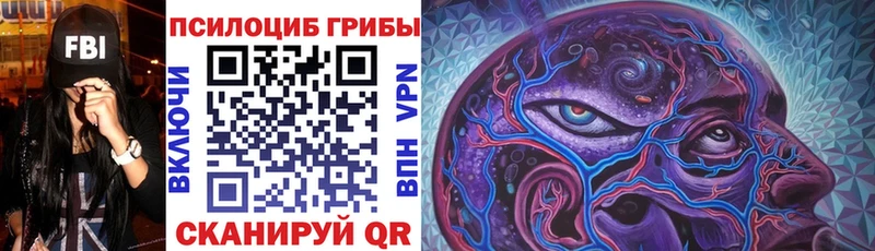 даркнет сайт  MEGA рабочий сайт  Псилоцибиновые грибы Psilocybe  Южа 